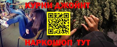 индика Ставрополь