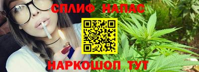 индика Ставрополь