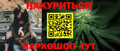 индика Ставрополь