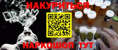 индика Ставрополь