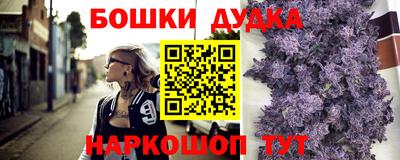 индика Ставрополь